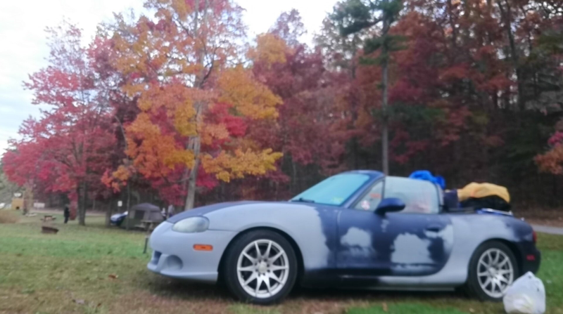 Pretty sweet to wake up to vibrant fall colors